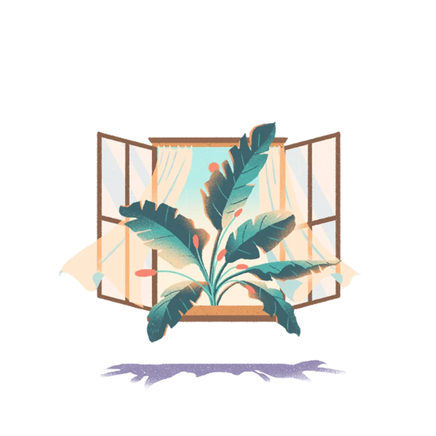 窓辺の観葉植物